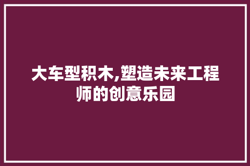 大车型积木,塑造未来工程师的创意乐园