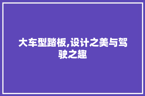 大车型踏板,设计之美与驾驶之趣