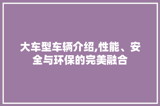 大车型车辆介绍,性能、安全与环保的完美融合