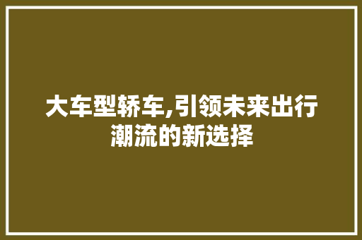 大车型轿车,引领未来出行潮流的新选择