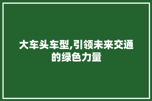 大车头车型,引领未来交通的绿色力量