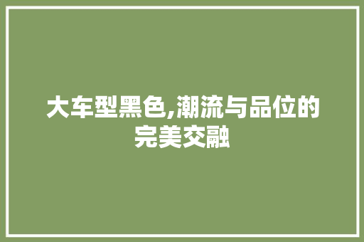 大车型黑色,潮流与品位的完美交融