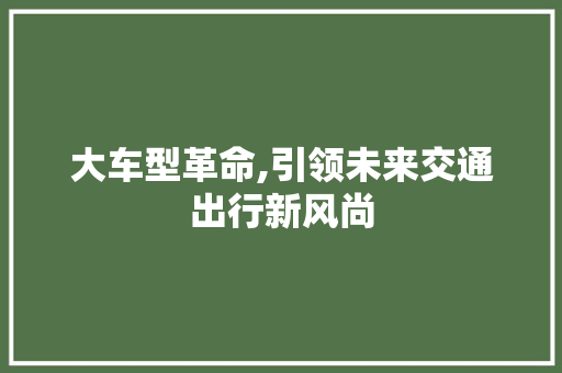 大车型革命,引领未来交通出行新风尚