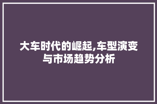 大车时代的崛起,车型演变与市场趋势分析