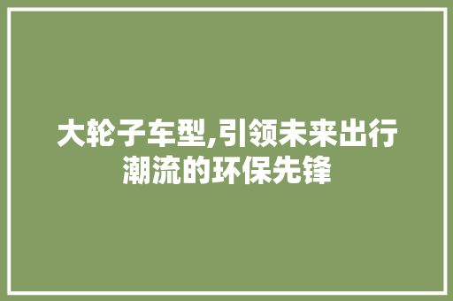 大轮子车型,引领未来出行潮流的环保先锋
