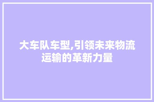 大车队车型,引领未来物流运输的革新力量