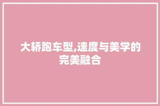 大轿跑车型,速度与美学的完美融合