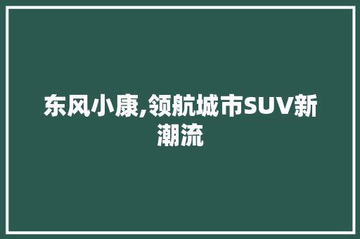 东风小康,领航城市SUV新潮流 新能源汽车