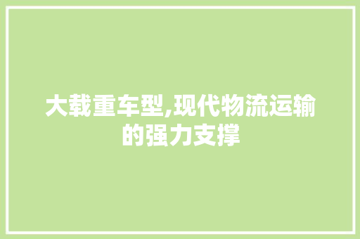 大载重车型,现代物流运输的强力支撑