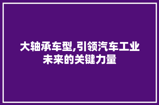 大轴承车型,引领汽车工业未来的关键力量