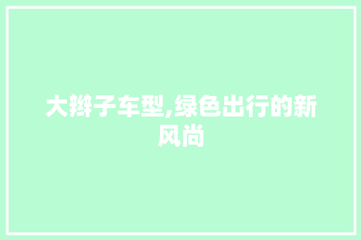 大辫子车型,绿色出行的新风尚