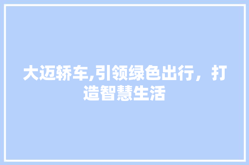 大迈轿车,引领绿色出行，打造智慧生活 蓄电池配件
