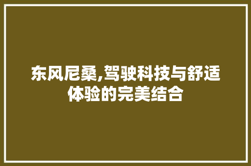 东风尼桑,驾驶科技与舒适体验的完美结合 发动机配件