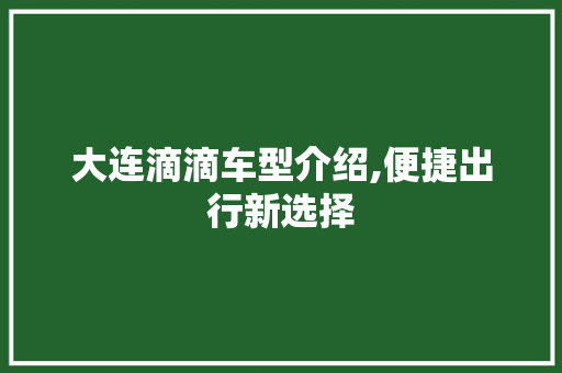 大连滴滴车型介绍,便捷出行新选择
