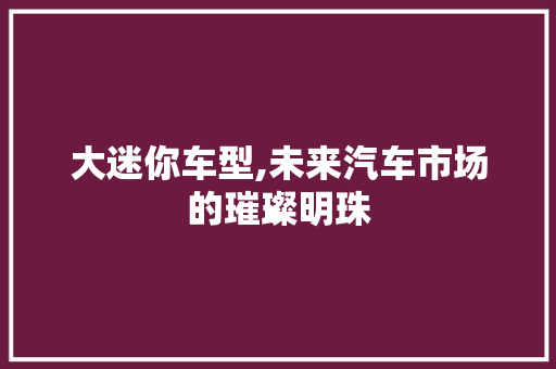 大迷你车型,未来汽车市场的璀璨明珠