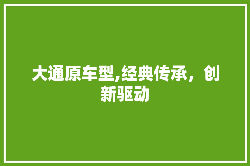 大通原车型,经典传承，创新驱动