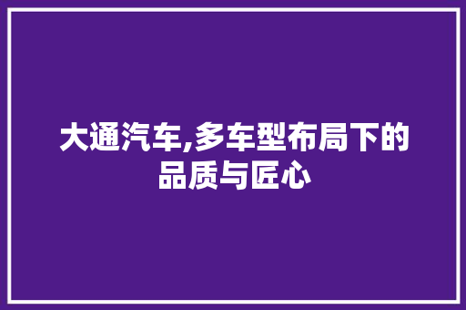 大通汽车,多车型布局下的品质与匠心