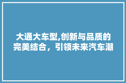 大通大车型,创新与品质的完美结合，引领未来汽车潮流