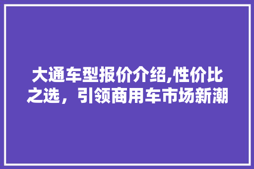 大通车型报价介绍,性价比之选，引领商用车市场新潮流