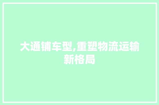 大通铺车型,重塑物流运输新格局