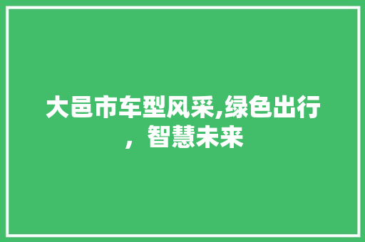 大邑市车型风采,绿色出行，智慧未来