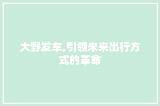 大野发车,引领未来出行方式的革命
