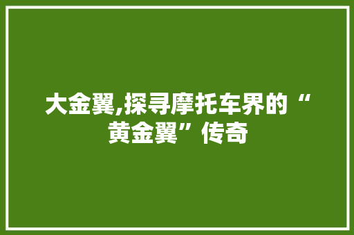 大金翼,探寻摩托车界的“黄金翼”传奇