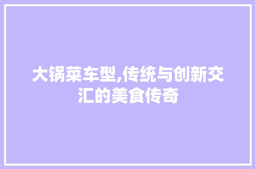 大锅菜车型,传统与创新交汇的美食传奇