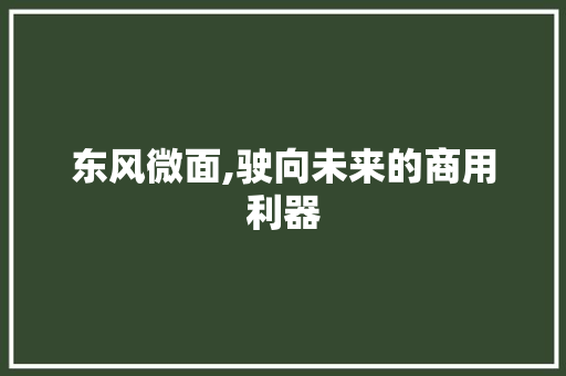 东风微面,驶向未来的商用利器