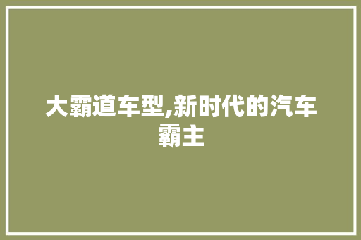 大霸道车型,新时代的汽车霸主