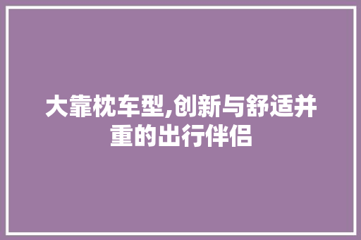 大靠枕车型,创新与舒适并重的出行伴侣