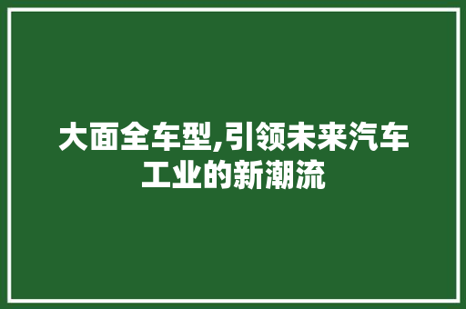 大面全车型,引领未来汽车工业的新潮流