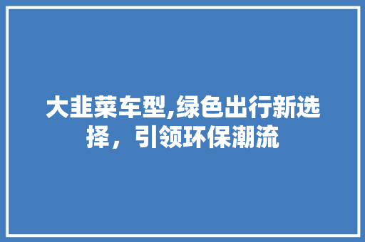大韭菜车型,绿色出行新选择，引领环保潮流