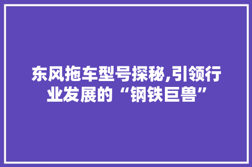 东风拖车型号探秘,引领行业发展的“钢铁巨兽” 蓄电池配件
