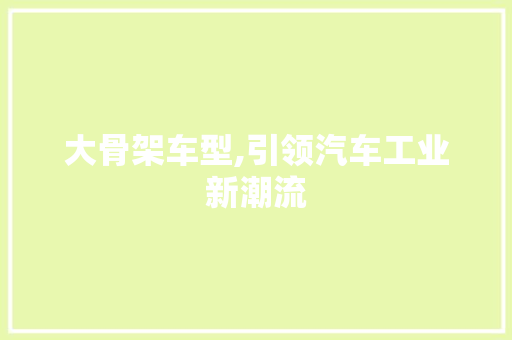大骨架车型,引领汽车工业新潮流