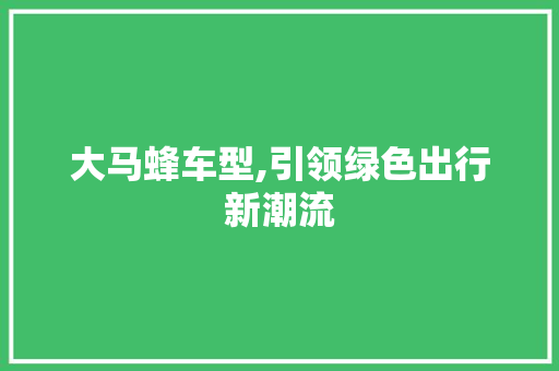大马蜂车型,引领绿色出行新潮流