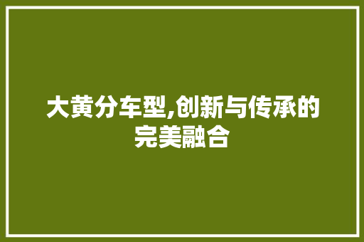 大黄分车型,创新与传承的完美融合