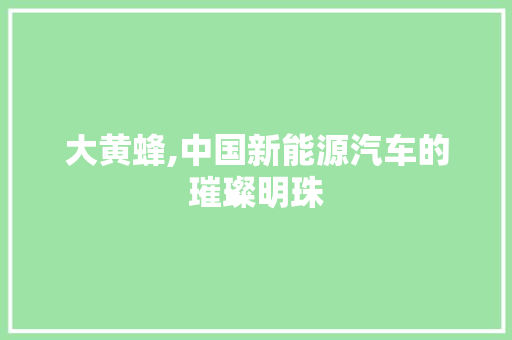 大黄蜂,中国新能源汽车的璀璨明珠