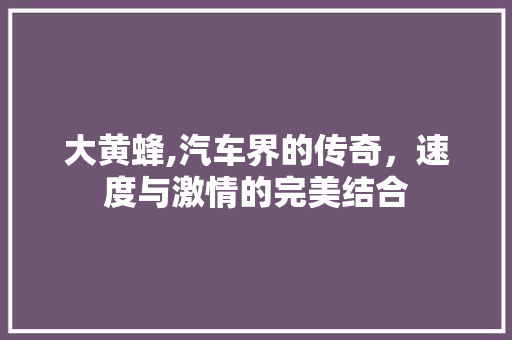 大黄蜂,汽车界的传奇，速度与激情的完美结合