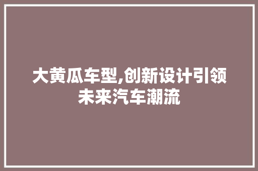 大黄瓜车型,创新设计引领未来汽车潮流