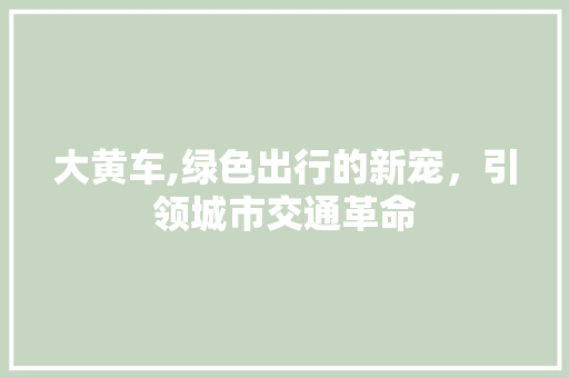 大黄车,绿色出行的新宠，引领城市交通革命