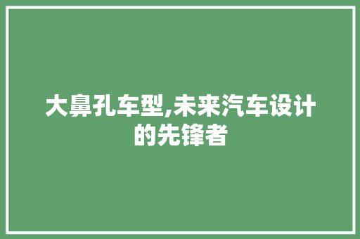 大鼻孔车型,未来汽车设计的先锋者