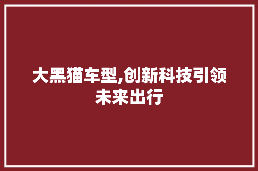 大黑猫车型,创新科技引领未来出行
