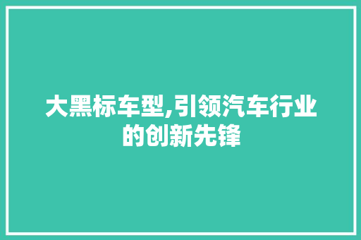 大黑标车型,引领汽车行业的创新先锋