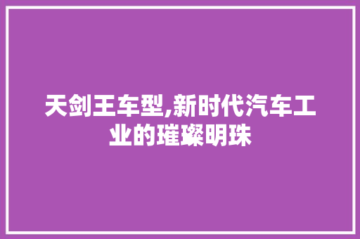 天剑王车型,新时代汽车工业的璀璨明珠