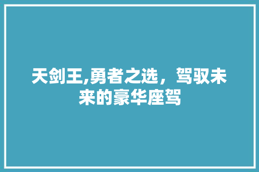 天剑王,勇者之选，驾驭未来的豪华座驾