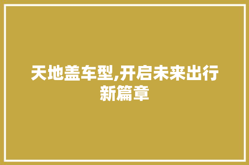 天地盖车型,开启未来出行新篇章