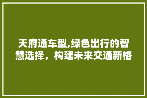 天府通车型,绿色出行的智慧选择，构建未来交通新格局