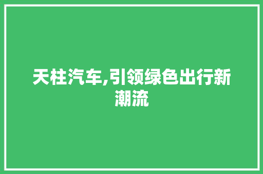 天柱汽车,引领绿色出行新潮流