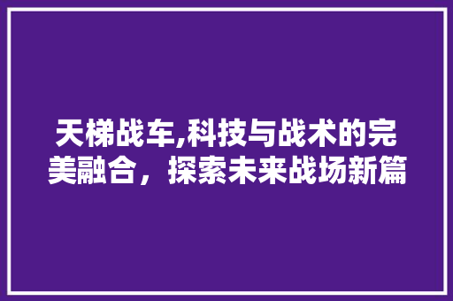 天梯战车,科技与战术的完美融合，探索未来战场新篇章